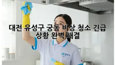 대전 유성구 궁동 비상 청소: 긴급 상황, 완벽 해결!