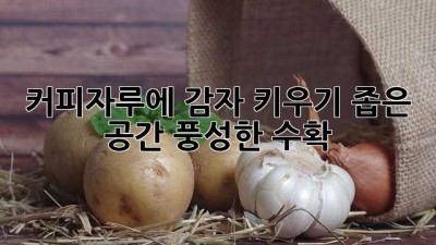 커피자루🥔에 감자 키우기? 좁은 공간, 풍성한 수확! ✨