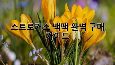 스트로커스 백팩: 완벽 구매 가이드